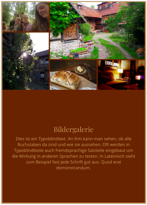 Bildergalerie Dies ist ein Typoblindtext. An ihm kann man sehen, ob alle Buchstaben da sind und wie sie aussehen. Oft werden in Typoblindtexte auch fremdsprachige Satzteile eingebaut um die Wirkung in anderen Sprachen zu testen. In Lateinisch sieht zum Beispiel fast jede Schrift gut aus. Quod erat demonstrandum.